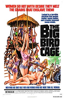 The Big Bird Cage