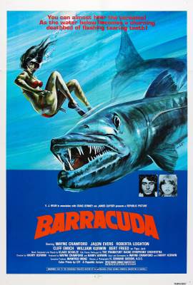 Barracuda