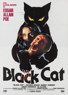 The Black Cat