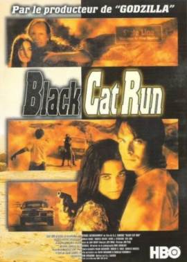 Black Cat Run