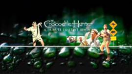 The Crocodile Hunter: A Tribute to Steve Irwin