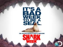 Shark Week