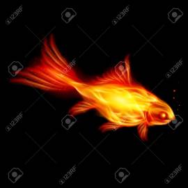 A Goldfish of the Flame