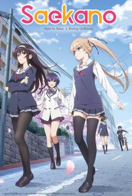 Saenai hiroin no sodatekata