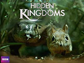 Hidden Kingdoms