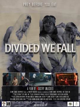 Divided We Fall