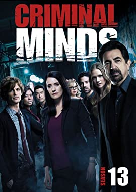 Criminal Minds: Season 13 - Thirteen Minds