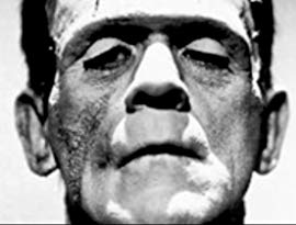 The Strange Life of Dr. Frankenstein