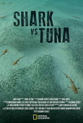 Shark vs Tuna