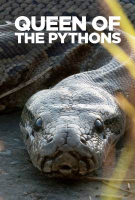 Queen of the Pythons