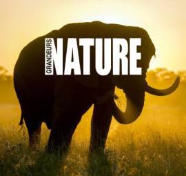Grandeurs nature