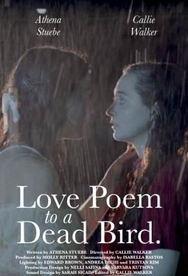Love Poem to a Dead Bird