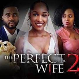 The Perfect Wife 2