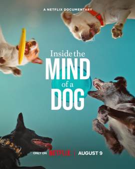 Inside the Mind of a Dog